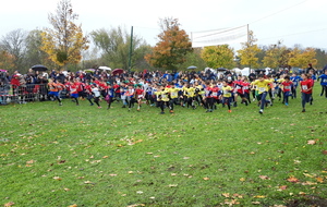 EA/PO au cross de l'Epinoche