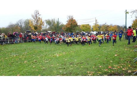 EA/PO au cross de l'Epinoche