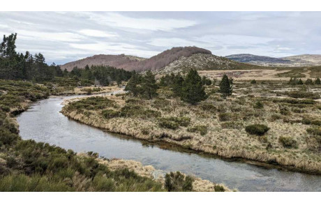 Mais pourquoi tu fais ça ?