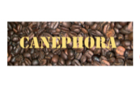 CANEPHORA